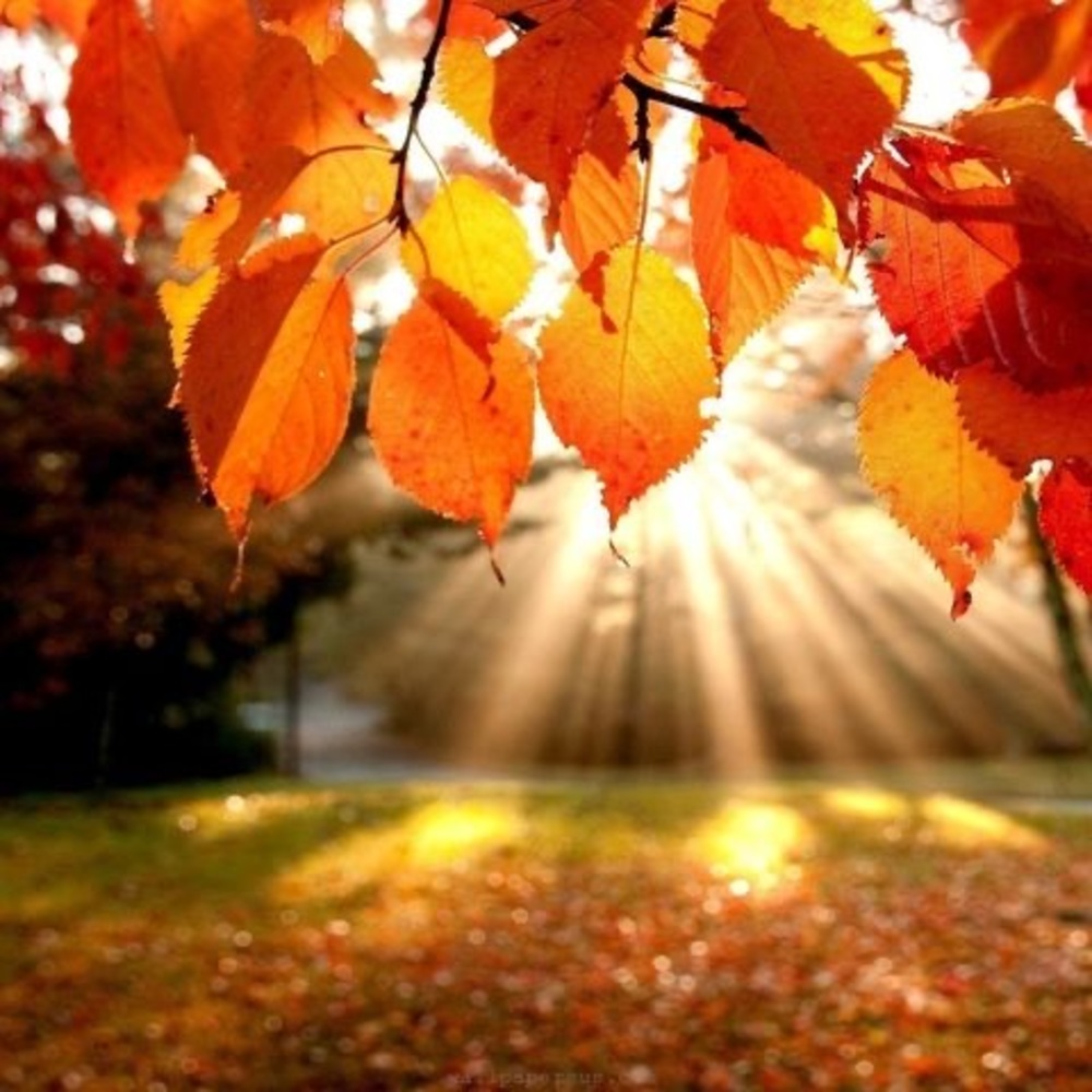 Meet your Posher, Carolyn